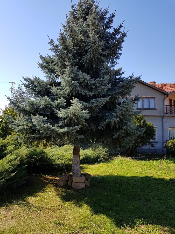 Къща За Гости Садово Guest House Sadovo Buitenkant foto